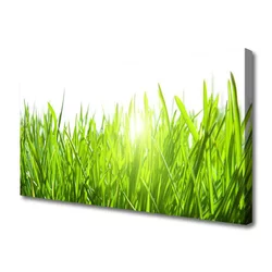 tulup.si Slika na platnu Grass nature rastlin 140x70 cm