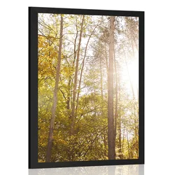 Plakat gozd v jesenskih barvah - 60x90 no frame
