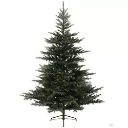 Novogodišnja jelka Grandis Fir 150cm