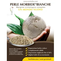 PERLE MORBIDE - BELE 4 kg