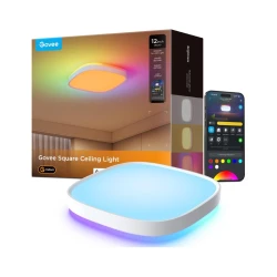 Govee - LED RGBIC prigušiva plafonsko svetlo LED/24W/230V 2700-6500K Wi-Fi