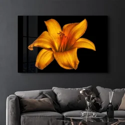 CAM-5025 - Višenamenska Tempered Staklena Slika 46 x 72 cm