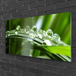 tulup.si Slika na steklu Rastlin trava dew drops 120x60 cm 2 obešalnika