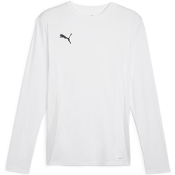 Dres z dolgimi rokavi Puma teamGOAL Jersey LS M