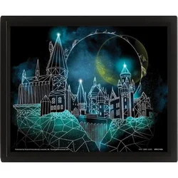 Harry Potter slike 3D - Bradavičarke