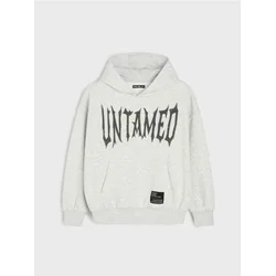 Sinsay - Oversize hoodie sa printom - svetlo siva