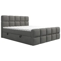Xora POSTELJA Z VZMETNICO 160 cm x 200 cm , tekstil temno siva