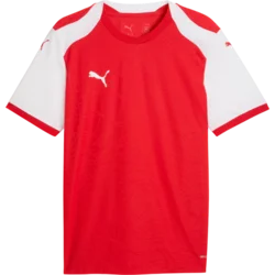 Puma Dres teamFINAL26 Knit
