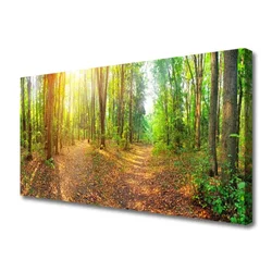 tulup.si Slika na platnu Sun forest narava pot 125x50 cm