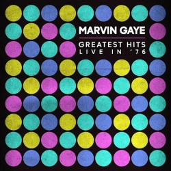 Marvin Gaye - Greatest Hits Live In 76 (LP)