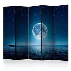 artgeist Paravan Moonlit Night I, 5-Delni, Dvostranski