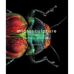 Microsculpture