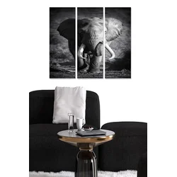 Set slika Wallity MDF117747946, 3 dijela