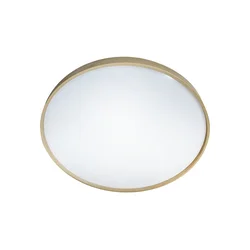 LED stropna svetiljka DRINA, prigušiva, LED/36W/230V 2700-6500K +daljinski upravljač