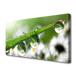 tulup.si Slika na platnu Grass nature dew drops 125x50 cm