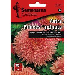 Semenarna Ljubljana cvijeće astra princes roza D2277, mala vrećica