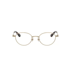 Swarovski Naočare SK 1028TD 4013