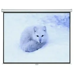 Električno zidno platno sa daljinskim Vision 240x240