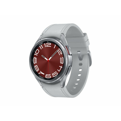 SAMSUNG Pametni sat Galaxy Watch 6 Classic/ 43mm/ srebrna