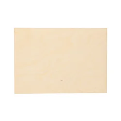AtmoWood Vezana plošča A4 - topol 3 mm (BB/BB)