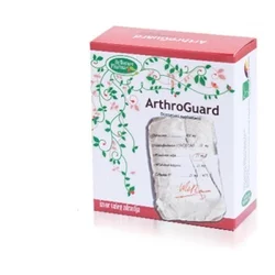 Dr.Werner Pharma Arthroguard Preparat za zglobove, 40 kapsula