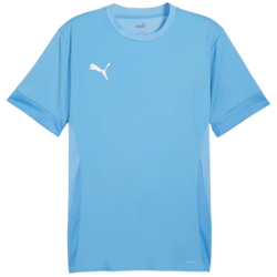 Dres Puma teamGOAL Matchday Jersey