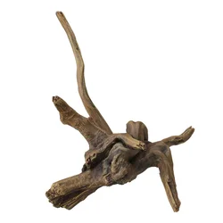 AQUA DELLA DRIFTWOOD 2