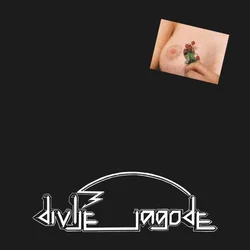 posneti mediji Divlje jagode - LP/Divlje jagode, (5000278894)