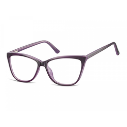 Berkeley Naočare CP115D