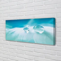 tulup.si Slika na platnu Voda pade makro 140x70 cm