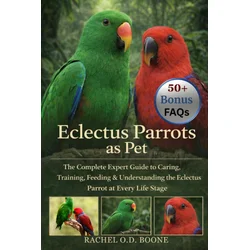 Eclectus Parrots as Pet