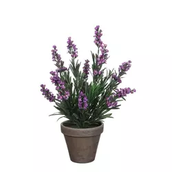 LAVANDA