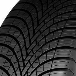 Dunlop All Season 2 ( 255/55 R18 109W XL )
