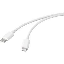 BASETECH Basetech USB kabel USB 2.0 USB-C® vtič\, Apple Lightning vtič 1.00 m bela BT-2347613, (20417264)