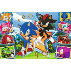 Trefl Puzzle Sonic: Meet the Hedgehog 100 kosov