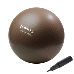 shumee YB02 NOVA 65CM GRIZZLY ANTI-BURST RJAVA GYM ŽOGA HMS