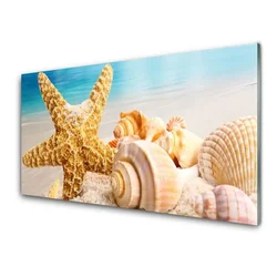tulup.si Steklena slika Starfish shell art 120x60 cm 4 obešalnika