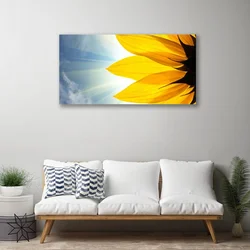 tulup.si Slika na platnu Kosmiči rastlina 120x60 cm