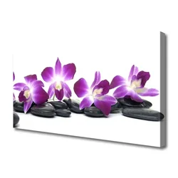 tulup.si Slika na platnu Orchid cvet spa 120x60 cm