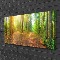 tulup.si Slika na platnu Sun forest narava pot 100x50 cm