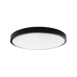 LED plafonsko svetlo za kupatilo LED/24W/230V 6500K IP44 crno