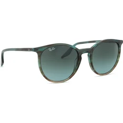 Ray-Ban Naočare za sunce RB 2204 1394GK