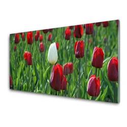 tulup.si Slika na steklu Tulipani rože narava 120x60 cm 4 obešalnika