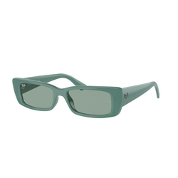 Ray-Ban Teru Naočare za sunce RB 4425 676282