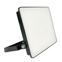 XLED 50W LED reflektor sa microve senzorom 6500K , G17 fast connector,IP44 ,AC220-240V