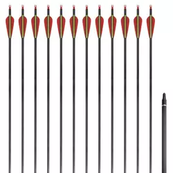 vidaXL Standardne savijene strijele za luk, 30, ugljične, 12 komada