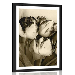 Plakat s paspartujem spomladanski tulipani v sepia varianti - 60x90 black
