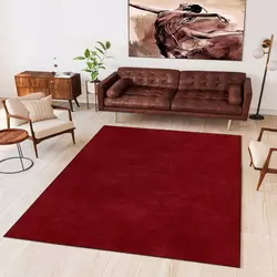 Conceptum Hypnose Tepih Wookece1270, 100 x 150cm, Crveni
