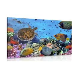 Slika podmorski svet - 90x60
