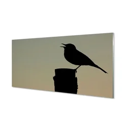 tulup.si Steklena slika Kos 120x60 cm 4 obešalnika